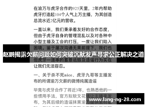 赵鹏揭露欠薪问题如何突破沉默发声寻求公正解决之道