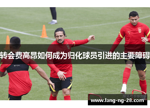 转会费高昂如何成为归化球员引进的主要障碍