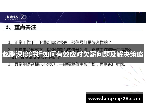 赵鹏深度解析如何有效应对欠薪问题及解决策略