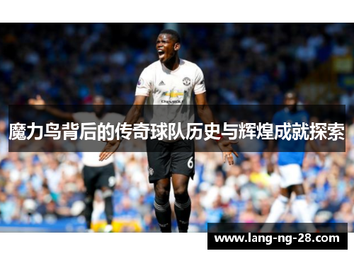 魔力鸟背后的传奇球队历史与辉煌成就探索