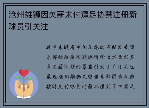 沧州雄狮因欠薪未付遭足协禁注册新球员引关注 沧州雄狮因欠薪未付遭足协禁注册新球员引关注